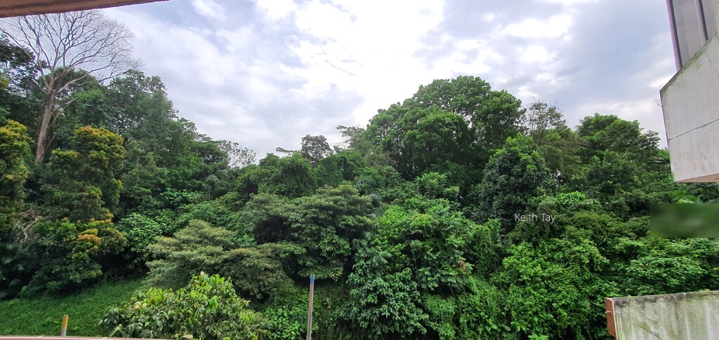 Clementi Park (D21), Condominium #251438251